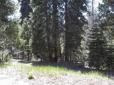 White Chief Mountain Lodge image 17